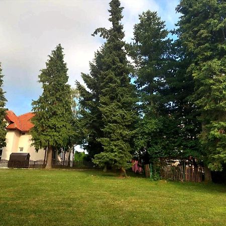 Kuca Za Odmor Zlatibor Exterior foto