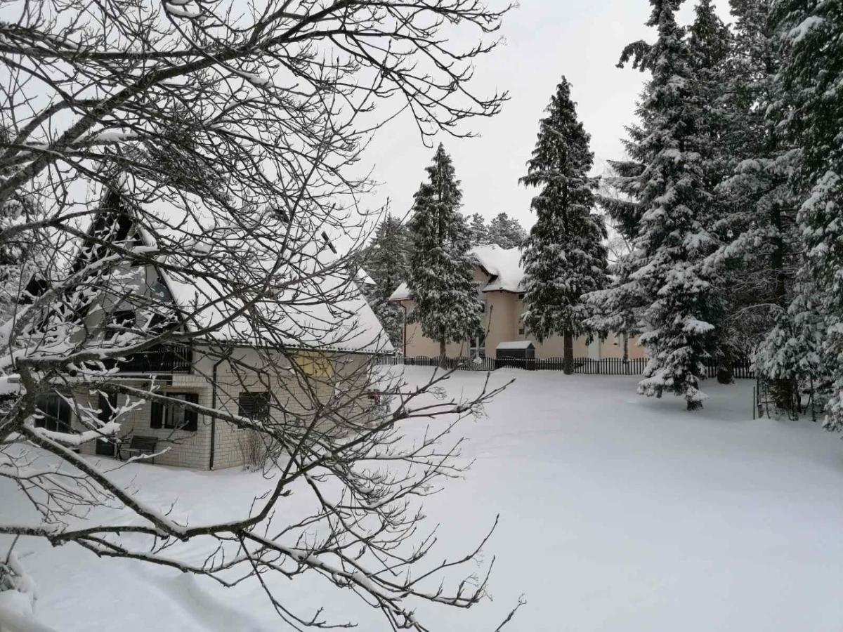 Kuca Za Odmor Zlatibor Exterior foto