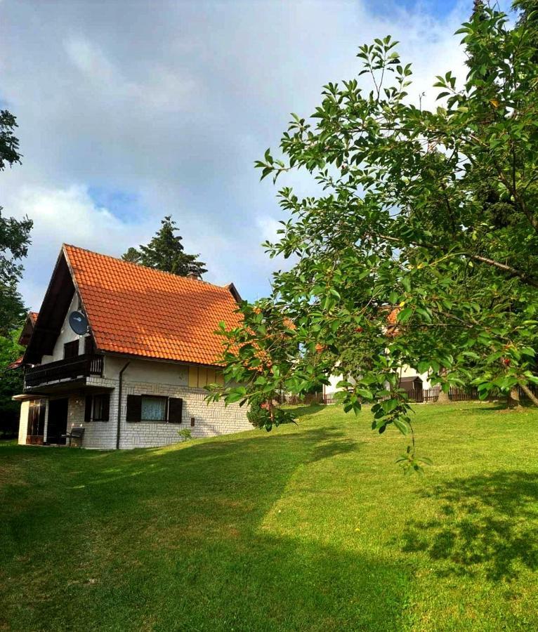 Kuca Za Odmor Zlatibor Exterior foto